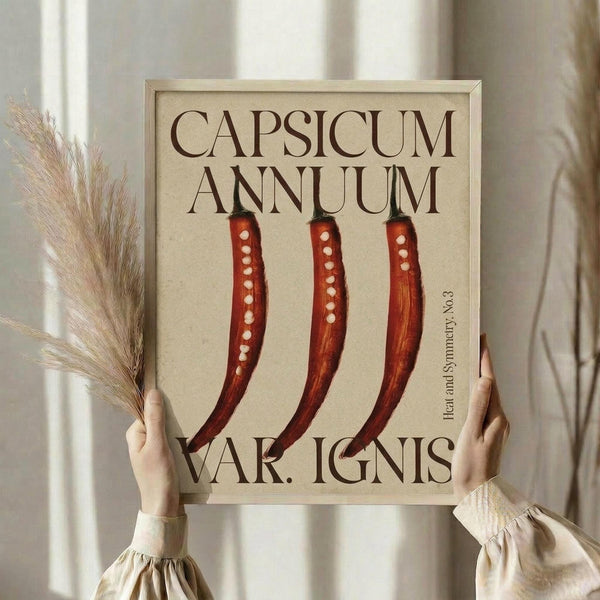 May include: Hands holding a framed botanical print featuring three red chili peppers with white dots, titled "Capsicum Annuum" and "Var. Ignis" in brown lettering on cream background. Person wears beige ruffled sleeves and holds dried wheat stems. Light wooden frame against soft neutral curtained backdrop.