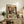 May include: Vintage-style poster showing two white ducks in formal attire dining at an elegant table with chandelier backdrop, displayed in light wood frame on rustic wooden sideboard alongside fern plant, books, ceramic vase, and brown leather furniture in cozy living room setting with cream walls.