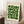 May include: Framed vintage-style Bauhaus poster with green geometric circles and semicircles arranged in a grid pattern on cream background, displayed in light wood frame leaning against white wainscoting wall next to wooden block with white teacup and saucer, on white textured rug beside beige knit throw blanket in bright natural lighting