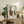 May include: Framed art print displaying three ceramic vessels in brown and cream tones within a blue painted border, positioned on rustic wooden sideboard alongside potted plants with large green leaves, stacked books, and ceramic vase in warm neutral living room setting with beige upholstered furniture.