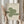 May include: Person holding framed Bauhaus poster with green geometric spiral design on cream background. Dried pampas grass visible to left. Neutral beige clothing and soft window lighting create minimalist styling. Wooden frame surrounds vintage-inspired exhibition print with German text.