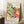 Bauhaus Expo 1923