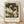 May include: Framed vintage-style poster featuring two white swans with orange beaks surrounded by cream and coral flowers and green foliage. The artwork has a decorative Arts and Crafts movement aesthetic with detailed botanical elements. Below the illustration is text reading "Centenary Exhibition William Morris" with exhibition details. The poster is displayed in a light wood frame, leaning against a white textured wall on light wooden flooring with soft natural lighting creating shadows.