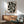 May include: Abstract black and white geometric artwork in wooden frame hanging above mid-century modern walnut credenza with table lamp. Sage green upholstered armchair with wooden arms sits nearby in bright, minimalist room with white walls and natural sunlight streaming across the space.