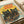 May include: Vintage-style poster print featuring three black cats with bright yellow and green eyes against a sunset backdrop with flowering branches. The design shows retro Japanese-inspired artwork with "JAPAN WEEK" text in bold red letters across a yellow sun. The print appears mounted on white paper with rolled paper visible in the background, photographed on a light wooden surface.