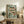 May include: Framed botanical fish artwork displayed on rustic wooden sideboard next to fern plant, books, and ceramic vase. The print features three speckled fish with large eyes swimming among green foliage and coral-colored berries on a mint green background. Light wood frame complements the warm, natural home decor setting with cream upholstered furniture visible.