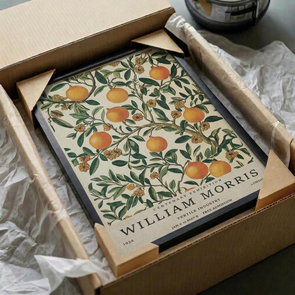 May include: Vintage botanical poster featuring orange fruit branches with green leaves and small yellow flowers on cream background, displayed in black frame inside cardboard shipping box with protective tissue paper wrapping