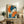 May include: Framed Japanese-style poster featuring a geisha with dark blue hair holding an orange folding fan, wearing blue patterned kimono against orange circular background with Japanese text, displayed on rustic wooden console table alongside books, ceramic vase, and fern plant in cozy living room setting