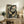May include: Framed poster featuring two golden koi fish swimming among lotus flowers and lily pads on dark background, displayed on rustic wooden sideboard beside fern plant, books, ceramic vase and table lamp in warm-toned living room setting