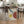 Bauhaus Gallery 1921