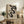 May include: Framed Bauhaus poster with flowing black abstract shape on beige background, displayed on rustic wooden sideboard beside fern plant, books, and ceramic vases in warm-toned living room setting with leather armchair