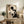 May include: Framed Bauhaus-style geometric abstract poster with black circle, beige and brown angular shapes, and vertical lines displayed on rustic wooden sideboard next to leather chair, potted fern, ceramic vases and stacked books in warm neutral living room setting.