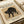 Black Cat Hissing Print