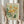 May include: Person in beige ruffled sleeves holding framed botanical poster featuring yellow daisy-like flowers and green foliage on sage green background with "Flower Market" and "Florance" text, alongside dried pampas grass stems, against soft neutral curtained window setting