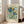 May include: Framed botanical poster with stylized green and orange flowers on cream background, displayed against white wall next to beige upholstered sofa in bright living room with large windows and natural light streaming across hardwood floors.