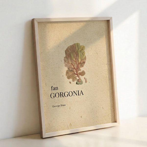 May include: Framed botanical illustration print leaning against white wall, featuring a detailed fan coral or sea fan specimen in muted green and brown tones on cream textured paper background, with "fan GORGONIA" and "George Shaw" text below the scientific drawing, displayed in natural wood frame with warm lighting casting gentle shadows