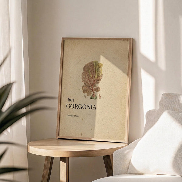 May include: Framed botanical print displaying a detailed illustration of a fan-shaped coral or sea fan in muted earth tones on cream textured paper. The specimen shows intricate branching patterns in browns and greens. Print sits on a round wooden side table next to a beige upholstered chair, with plant leaves visible in soft natural lighting that creates geometric shadows on the neutral wall behind.