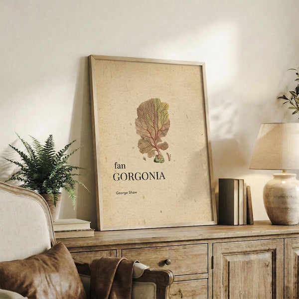 May include: Framed botanical print featuring a detailed fan coral illustration in muted earth tones on cream textured paper, displayed on a rustic wooden sideboard alongside potted fern, stacked books, and ceramic vase in a neutral-toned living room setting with beige upholstered chair.