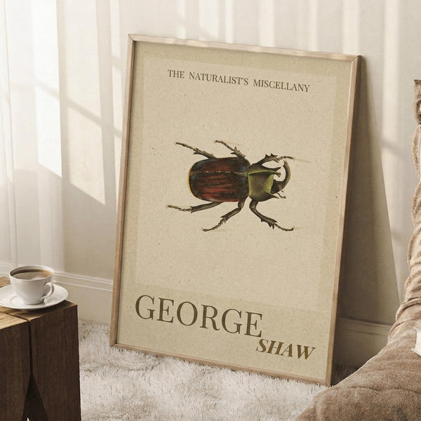 May include: Framed vintage-style botanical print featuring a detailed brown and green beetle illustration on cream textured paper. The poster displays "The Naturalist's Miscellany" at top and "George Shaw" at bottom in serif typography. Shown leaning against white wall in bright room with white fur rug, wooden side table holding white coffee cup, and tan knit blanket visible.