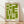 May include: Framed geometric poster with olive green abstract shapes on cream background, displayed against white wall on light wood floor. Modern minimalist design features interlocking rectangular and linear forms. Text reads "bauhaus 1919" in black lowercase letters at bottom. Natural wood frame with visible grain pattern. Soft shadows cast on textured white fabric backdrop.