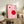 May include: Pink and red geometric Bauhaus-style poster in thin wooden frame, displayed on rustic wood sideboard alongside fern plant, books, and ceramic vase. The minimalist artwork features bold circular shapes and clean lines against a soft pink background. Cozy living room setting with beige upholstered furniture and neutral wall.