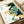Abstract flowing design with organic curved shapes in deep teal, sage green, golden yellow, and white on cream paper. The fluid forms interweave and layer, creating a marbled or liquid-like pattern. Japanese characters appear in black text on the left side. The artwork is displayed in an open book or portfolio against a neutral background with soft natural lighting.