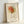 May include: Framed art print leaning against white wall showing abstract line drawing of a rose flower with orange and yellow watercolor wash. Features "PICASSO" at top, "Centre Pompidou" at bottom with limited edition numbering. Simple continuous black line work depicts rose bloom and stem with leaves on cream textured background in light wood frame.
