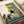 Illustrated poster print featuring a black cat sitting in a yellow armchair at a breakfast table. The scene shows a checkered blue tablecloth with fried eggs, cookies, orange juice, and coffee. Large yellow "CHOW!" text appears at the top against sage green and cream walls. The artwork has a cozy, hand-painted style with warm colors and domestic breakfast setting details.