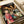 Spirited Away anime poster featuring Chihiro in red and white striped outfit on the left, with various colorful characters including No-Face, spirits, and mythical creatures gathered in a traditional Japanese bathhouse setting with glowing lanterns. The artwork shows Studio Ghibli's distinctive animation style with warm lighting and detailed character designs. Japanese text appears at the top, and director credit is visible at bottom right.