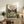 May include: Framed vintage-style movie poster featuring animated characters in a grassy field with a cozy cottage surrounded by trees in the background. The poster displays Japanese text and shows children alongside a large gray forest creature. Set on a rustic wooden sideboard with books, ceramic vase, and fern plant in a warmly lit living room with cream-colored armchair and neutral walls.