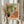 May include: Hands holding a framed art print in warm natural light next to dried pampas grass. The colorful artwork shows an interior scene with orange flowers in a black vase, green palm plants, an orange wooden chair with leopard print cushions, and geometric patterns. Light wooden frame against soft beige curtains.