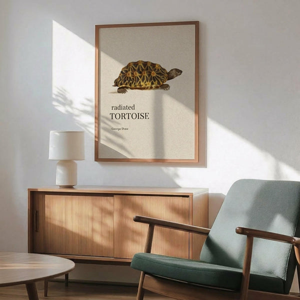 May include: Framed vintage-style tortoise illustration print with radiated shell pattern in yellow and brown tones on cream background, displayed above mid-century modern wood credenza with white ceramic lamp, next to sage green upholstered armchair with wooden frame, warm natural lighting casting shadows across white wall