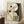 May include: Abstract geometric artwork in wooden frame leaning against white wall on textured cream rug. Features curved organic shapes in beige and dark green with linear grid patterns and small black circles. Coffee cup on wooden block nearby. Natural lighting creates soft shadows. Numbered limited edition print visible in corner.