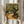 May include: Person holding framed Van Gogh-style painting featuring gnarled olive tree with thick brushstrokes in yellows and greens, small cottage visible in background, displayed against neutral curtained window with dried pampas grass stems alongside