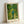 May include: Framed art print showing a figure in blue shirt and green pants walking down a tree-lined path with yellow fruit trees on either side. The painting features Van Gogh's distinctive swirling brushstroke style in vibrant greens and yellows. Light wood frame displayed against white wall, leaning at an angle with natural lighting creating soft shadows.
