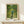 May include: Van Gogh poster print in light wood frame showing figure in blue shirt and green pants walking through orchard with yellow fruit trees. Framed artwork leans against white wall on pale wood console table next to small white wrapped gift with twine and greenery sprig.