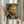May include: Person holding framed art print featuring Van Gogh's self-portrait with swirling blue and green background, reddish-brown hair and beard, shown in light wooden frame. Hands wear cream-colored ruffled sleeves, dried pampas grass visible on left side against soft white curtained background.