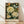 May include: Framed botanical art print leaning against white wall on light wood floor. Features cream and white peonies, orange flowers, pale blue butterfly on dark green background. Natural wood frame, soft window light casting shadows. Victorian-style floral illustration with rich detail and vintage aesthetic.