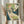 May include: Framed vintage Art Nouveau poster showing elegant woman in flowing white dress and floral blue shawl reading papers, with decorative green foliage background. Light wood frame displayed on white ribbed fabric chair with dried pampas grass beside it in soft natural lighting.
