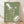 May include: Framed vintage-style Japanese poster with sage green background featuring white illustrated squid and abalone shell alongside Japanese characters in white and golden brown text. The wooden-framed artwork leans against a white wall on light wood flooring with soft natural lighting and fabric shadows visible.