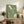 May include: Framed green poster with vintage Japanese seafood illustrations including white squid and abalone shell, displayed on rustic wooden sideboard in modern living room with leather armchair, fern plant, ceramic vases and books