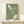 May include: Framed vintage-style poster with sage green background featuring white illustrated squid and abalone shell alongside Japanese text in white and golden brown. Natural wood frame displayed on light wooden furniture with small wrapped gift box decorated with pine sprig against cream wall.