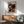 May include: Framed poster with colorful mushroom and polka dot pattern on black background hanging above mid-century modern wooden sideboard with table lamp. Sage green upholstered chair with wooden arms sits nearby on hardwood floor. Natural sunlight creates shadows on white wall in contemporary living room setting.