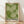 May include: Framed poster with green and cream dot pattern forming radiating flower-like designs, displayed against white wall on wooden floor. Natural wood frame surrounds artwork featuring "YAYOI KUSAMA" and "TOKYO" text at bottom with Japanese characters. Soft natural lighting creates diagonal shadows across the scene.