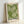 May include: Framed poster with green and cream dotted pattern resembling organic burst or floral motifs, displayed in light wood frame against white wall. Text reads "YAYOI KUSAMA" with Japanese characters below and "TOKYO" in smaller green text. The artwork features radiating circular dot patterns in various shades of green on cream background, creating a nature-inspired abstract design.