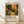 May include: Framed poster print leaning against white wall on light wood floor. Features abstract botanical illustration with green leaves, orange and yellow mushrooms, white dots scattered throughout on dark background. Text reads "YAYOI KUSAMA" with Japanese characters and "MUSÉE d'ART MODERNE DE LA VILLE DE PARIS" below colorful nature scene. Natural wood frame with cream matting, soft window light creating shadows on textured white wall.