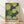 May include: Framed poster print leaning against white wall on light wood floor. Artwork features abstract pattern of overlapping circles in various shades of green - from dark forest to lime green - filled with polka dots in white and darker green. Text reads "YAYOI KUSAMA" with Japanese characters and "TOKYO" below. Natural wood frame with visible grain. Soft natural lighting creates gentle shadows on white fabric backdrop.