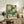 May include: Framed art print with green and cream polka dot circles on dark teal background, displayed on rustic wooden sideboard next to fern plant, books, and ceramic vase in neutral-toned living room setting with beige upholstered chair.
