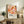 May include: Framed abstract art print with warm orange, pink, and coral organic shapes and dotted patterns, displayed on rustic wooden sideboard alongside fern plant, ceramic vase, and leather chair in neutral-toned living room setting