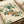 May include: Japanese botanical illustration featuring persimmon branches with orange-red fruit and green leaves on cream paper, displayed in an open book or portfolio with white ribbon binding, photographed on a neutral surface in soft natural lighting